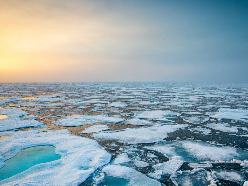 Arctic Sea Ice Data